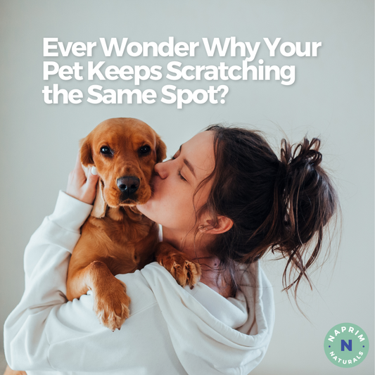 Ever Wonder Why Your Pet Keeps Scratching the Same Spot?