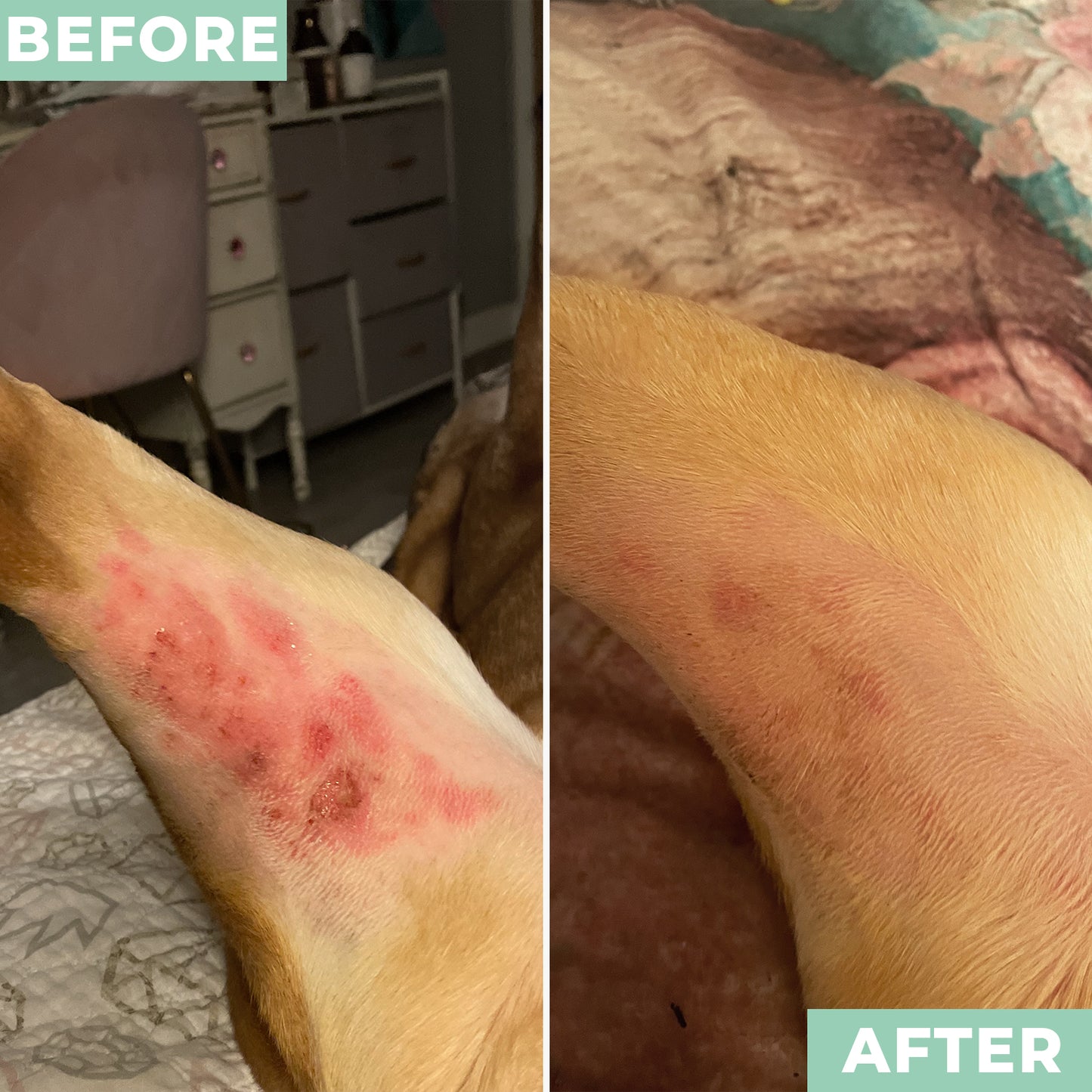 Soothing Pet Powder