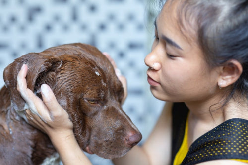 How Pet Dander Can Affect Human Skin Health