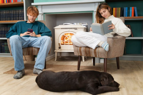Safe Home Solutions for Dog Hot Spots