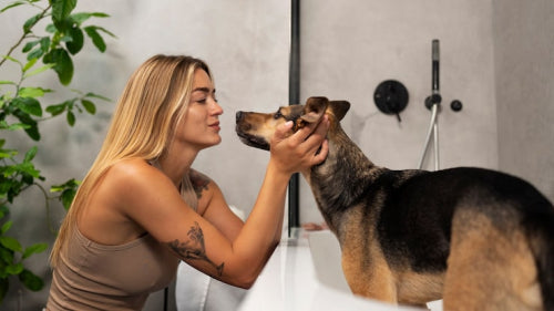 Pet Skin Health Trends Every Owner Should Know