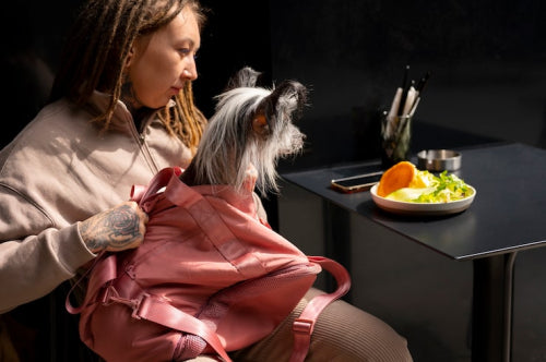 Holistic Pet Skincare: The Trend That's Taking Off