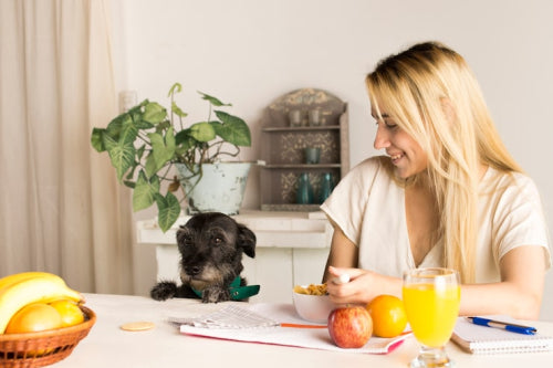 Why Natural Pet Remedies Are Now a Must-Have for Dog Owners