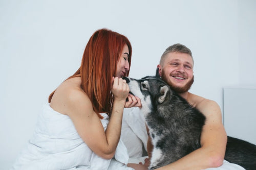 How Pet Owners Are Fighting Dry Skin Naturally
