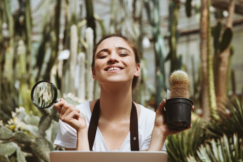 Exploring Plant-Based Ingredients in Skincare