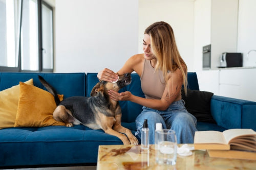 Safe Home Remedies for Pet Skin Irritations