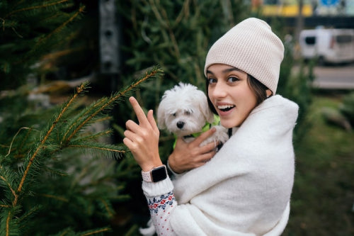 Seasonal Skin Challenges for Pets and Solutions