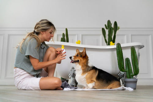 The Importance of Gentle Pet Care Products