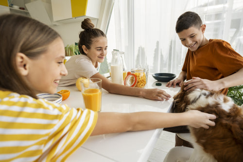 Herbal Ingredients in Skincare and Pet Care