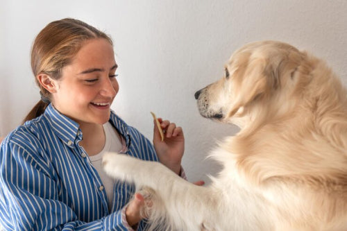 Shared Practices for Pet and Human Skin Health