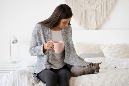 Natural Remedies for Pet Allergies and Irritations