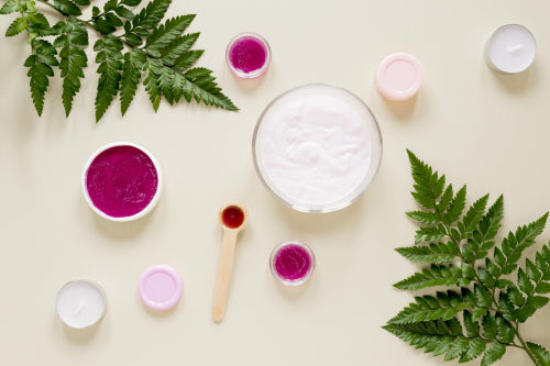 Plant-Derived Ingredients Supporting Skin Barrier