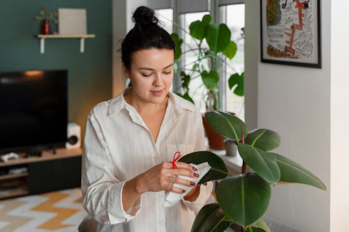 Barrier Support Products Using Plant-Derived Ingredients