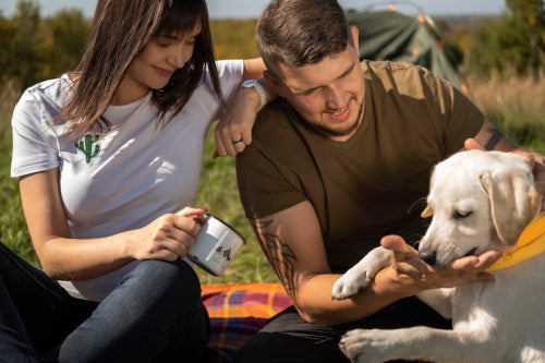 Shared Natural Remedies for Family and Pets