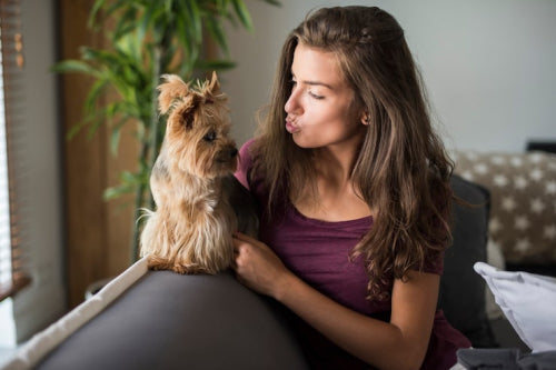 Why Dogs and Cats May Need Gentle Skin Support