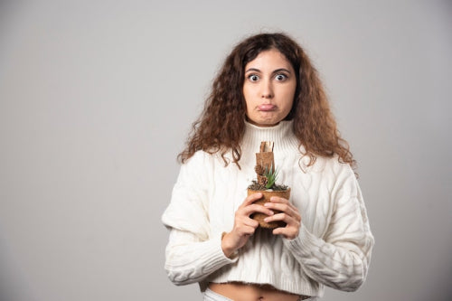 What to Know About Botanical Extracts in Supplements