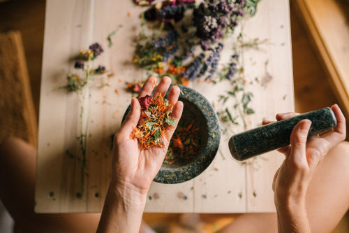 How Plant-Based Wellness Supports Everyday Vitality