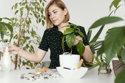 What Makes Botanical Wellness Products Unique