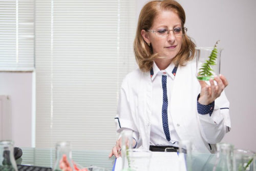 What Makes High-Quality Botanical Ingredients Important