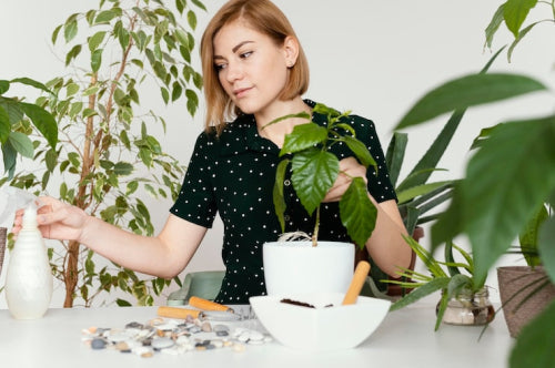 How Herbal Nutrition Supports a Healthy Lifestyle