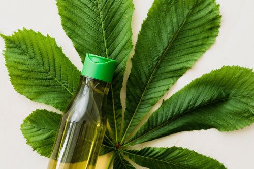 What Makes Plant-Based Wellness Products So Popular