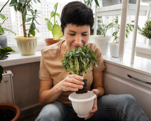 How Plant Nutrition Supports Healthy Living