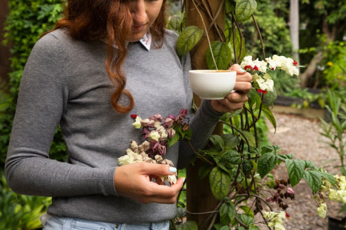 Why Botanical Nutrition Is Becoming Mainstream