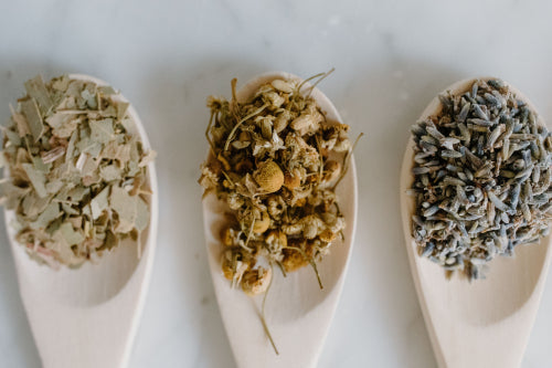 How Herbal Wellness Supports Everyday Self-Care