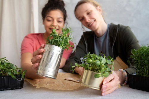 Why Plant-Based Living Continues to Grow
