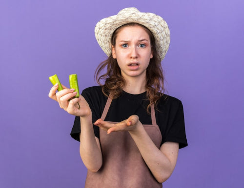 How to Compare Herbal Nutrition Products Before Buying