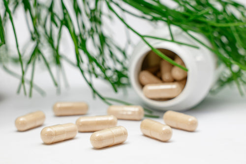 What to Look for in High-Quality Botanical Supplements