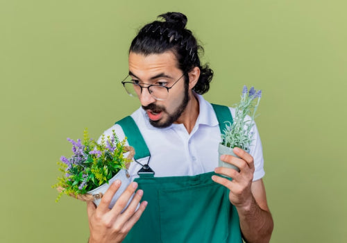 Herbal Extracts vs Whole Herbs What Is the Difference