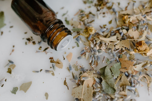 What Makes Botanical Wellness Products Worth Considering