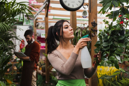 How to Choose Herbal Products for Everyday Wellness