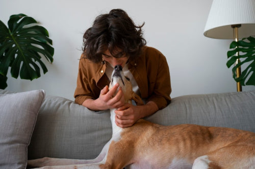 Common Causes of Itchy Skin in Dogs and Pets