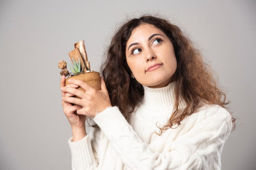 Understanding the Science Behind Vegan and Organic Beauty Products