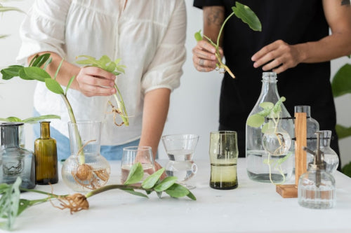 Understanding the Regulatory Landscape for Natural Cosmetic Ingredients