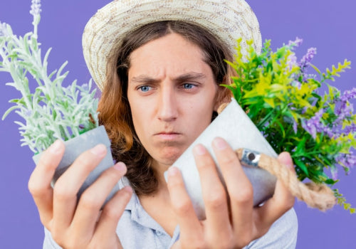 Case Studies in Soothing Irritated Skin With Botanical Solutions