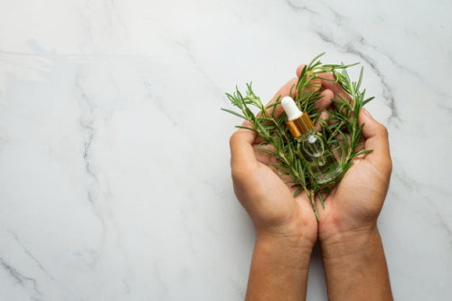 The Power of Plant Oils: Why Theyre Essential in Eczema and Dry Skin Care
